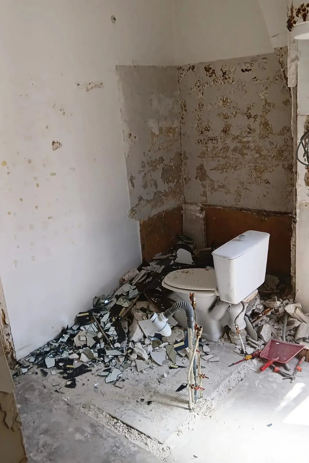 Before & After: This Tiny Parisian Bathroom Got a Pool-Tile Glow-Up Worthy of the City of Light
