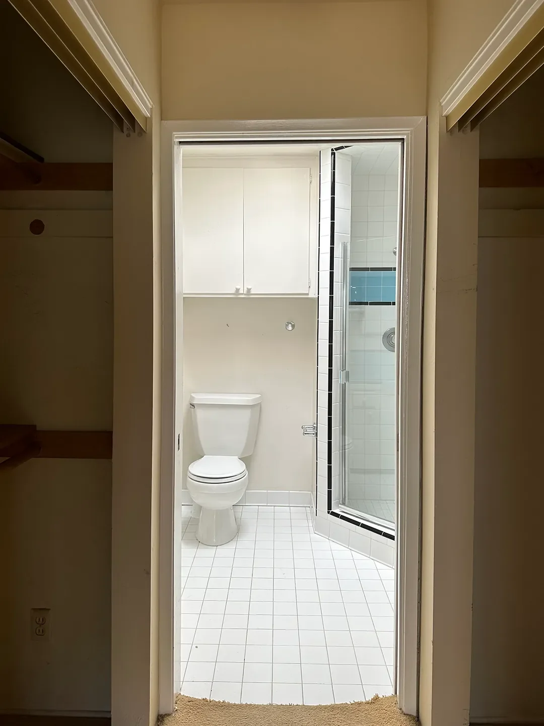 This Designer Worked Layout Wizardry in Her Bathroom and Squeezed in a Double Shower