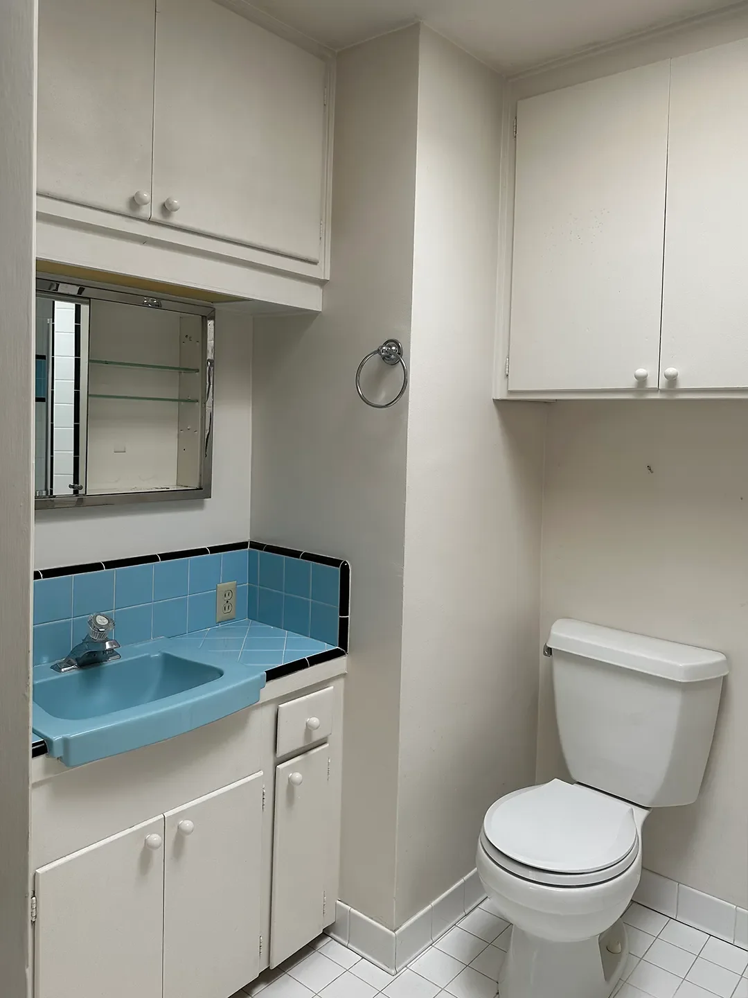 This Designer Worked Layout Wizardry in Her Bathroom and Squeezed in a Double Shower